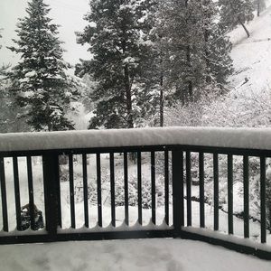 Meet your Posher, Christine